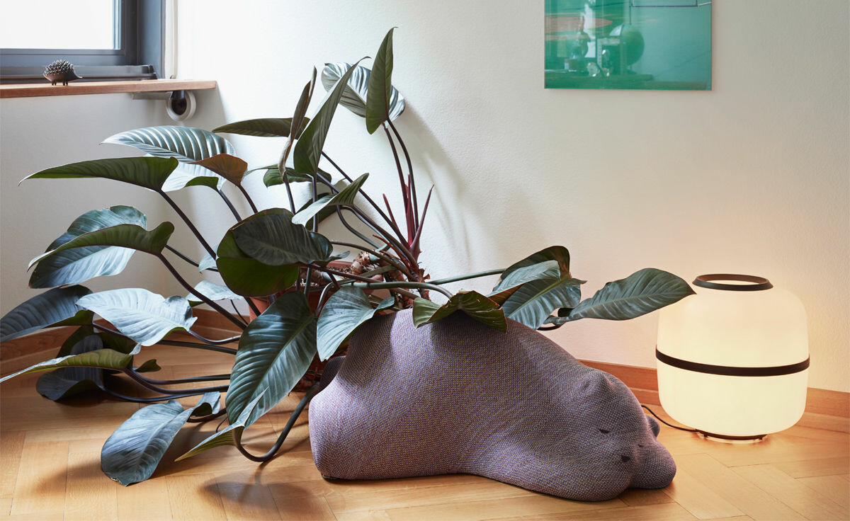 styling image