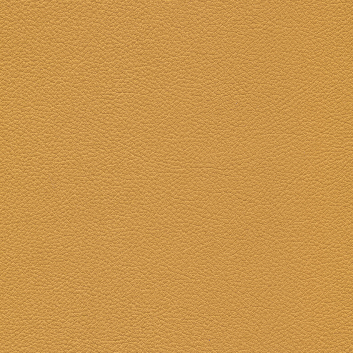 product color