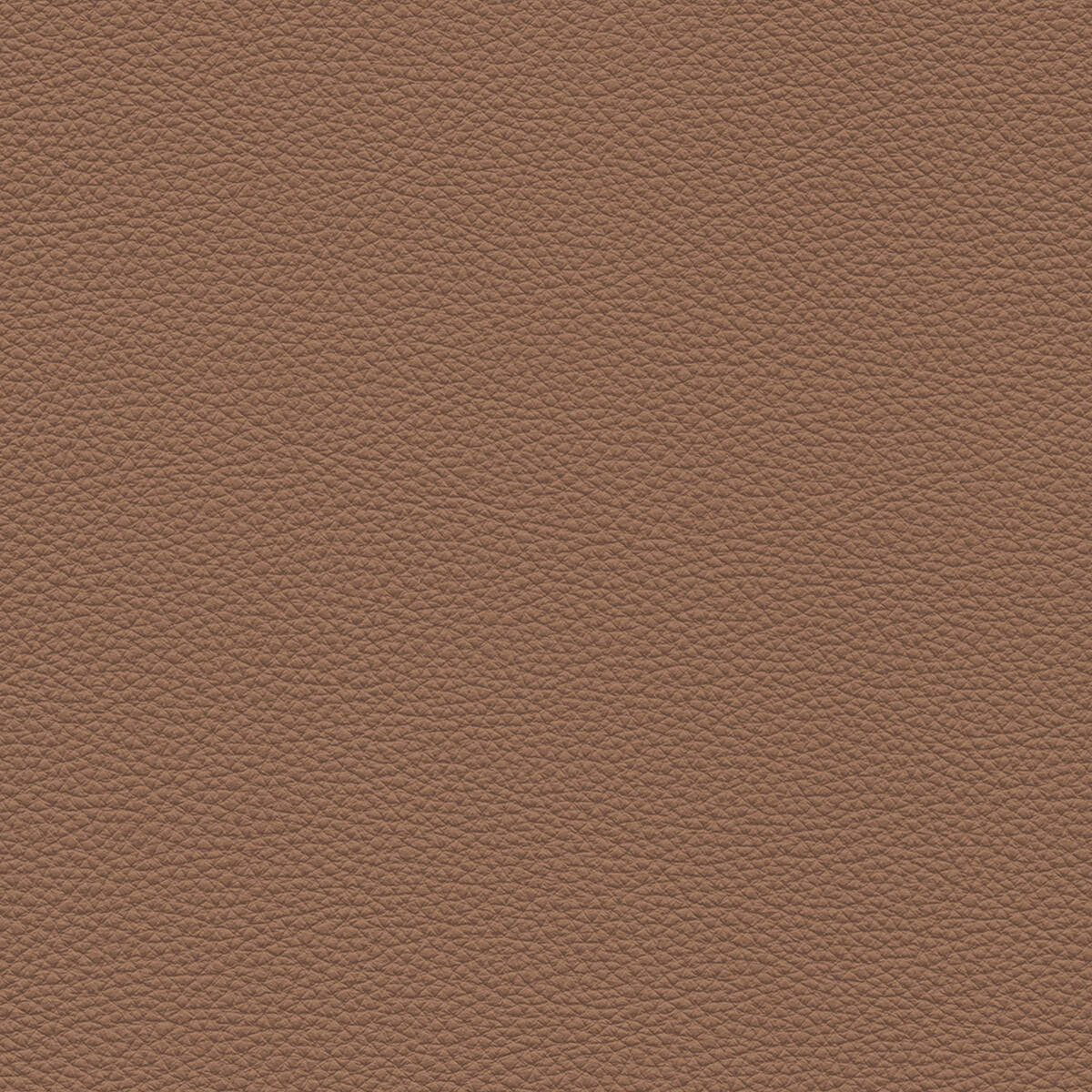 product color