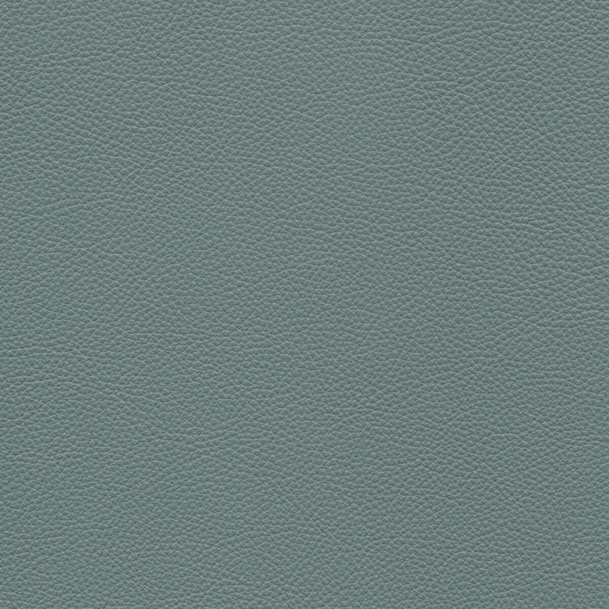 product color