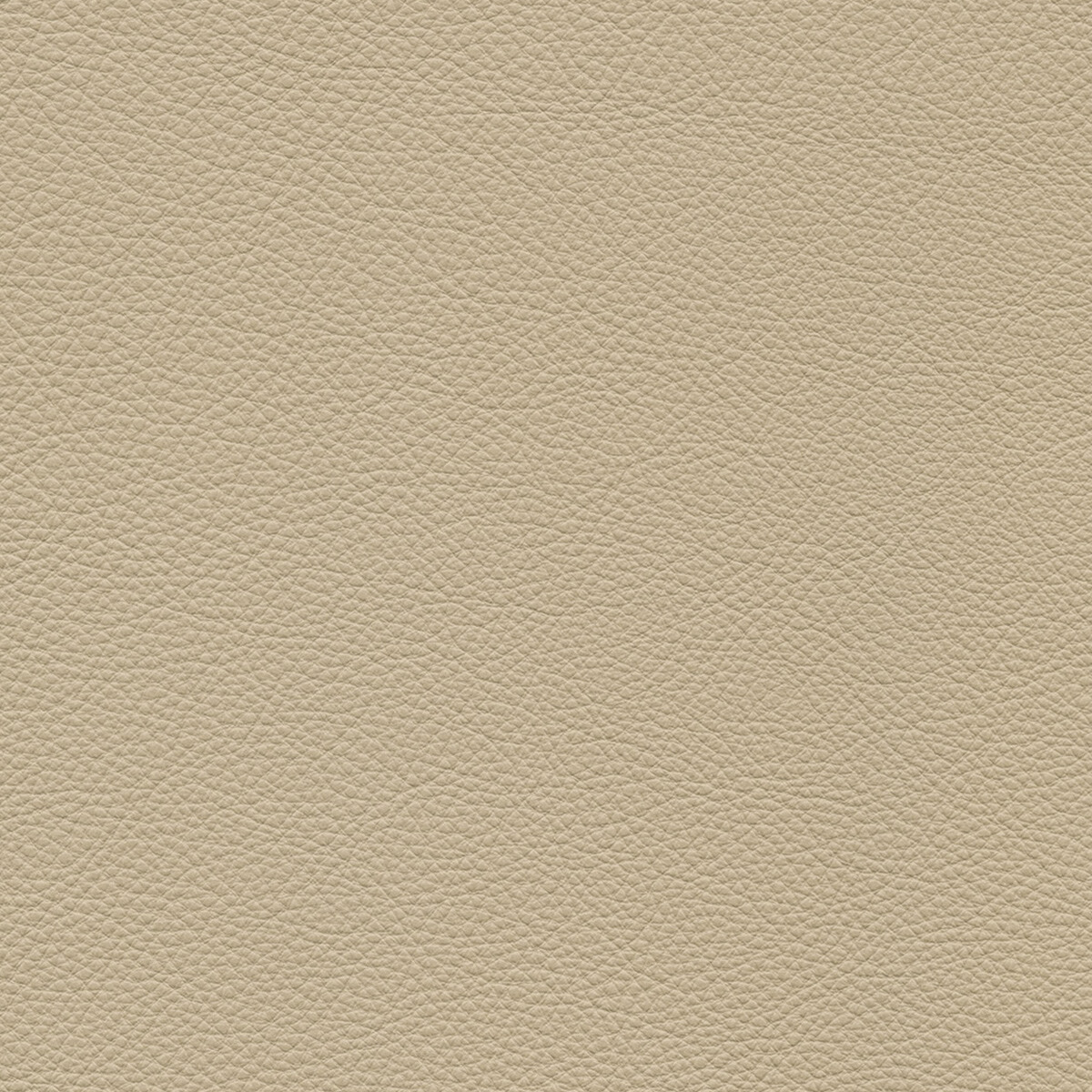 product color