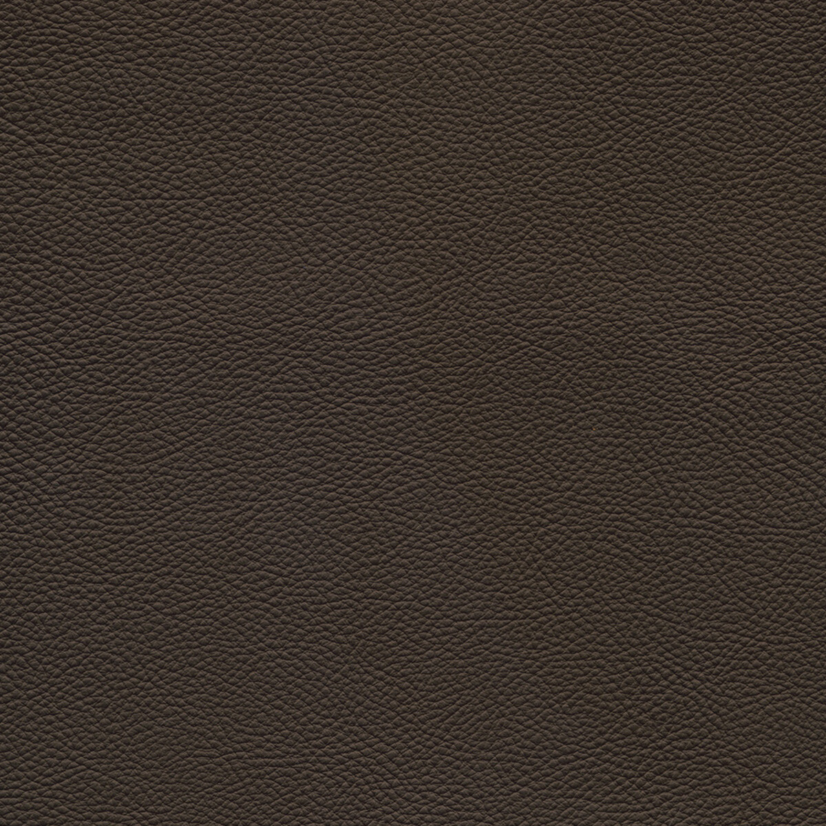 product color
