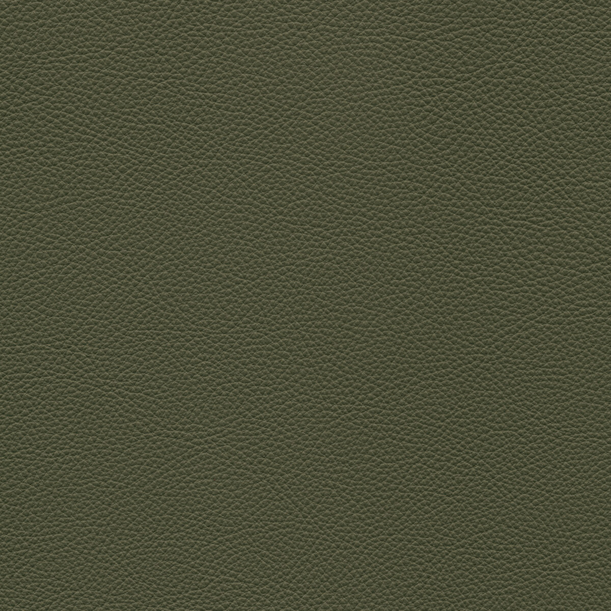 product color
