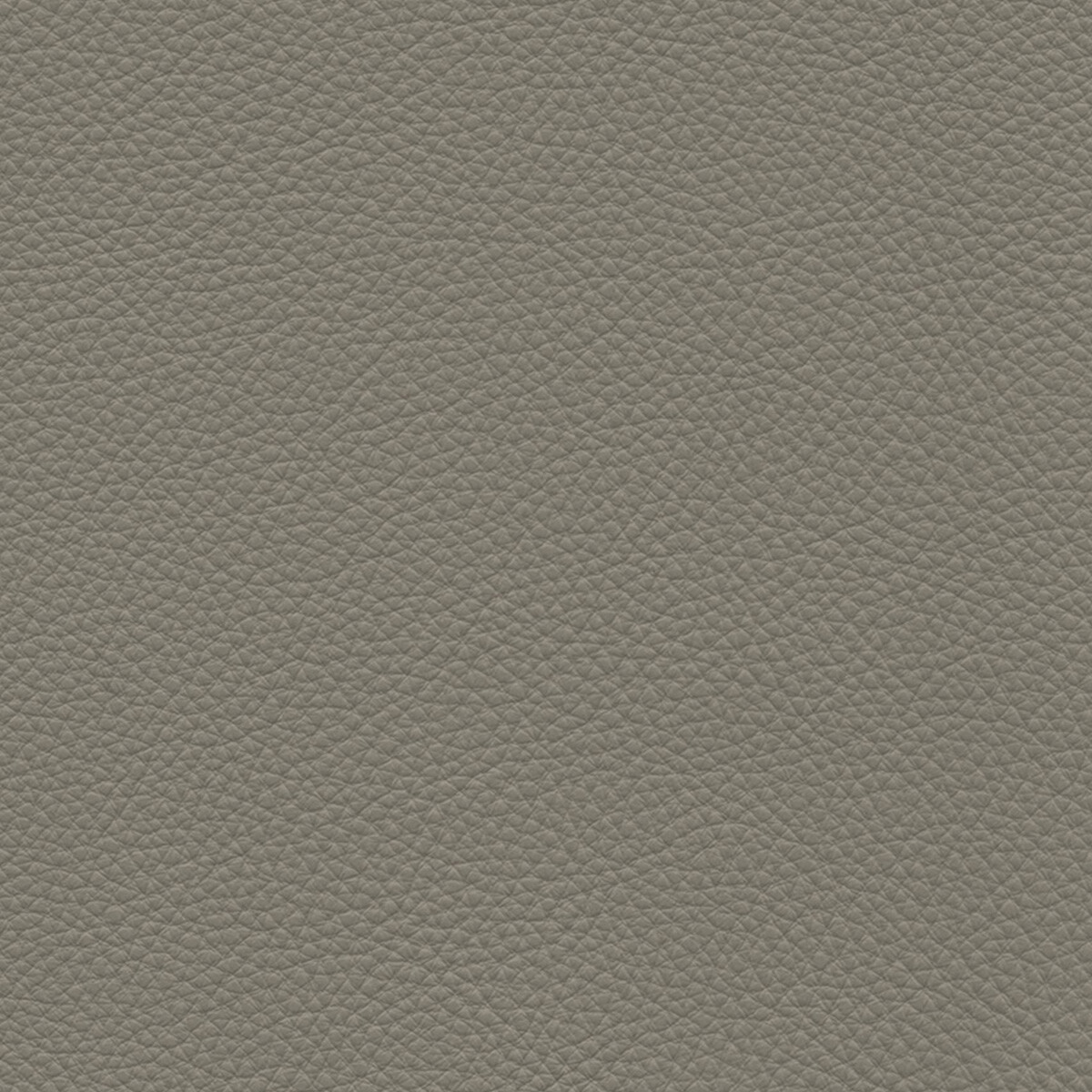 product color