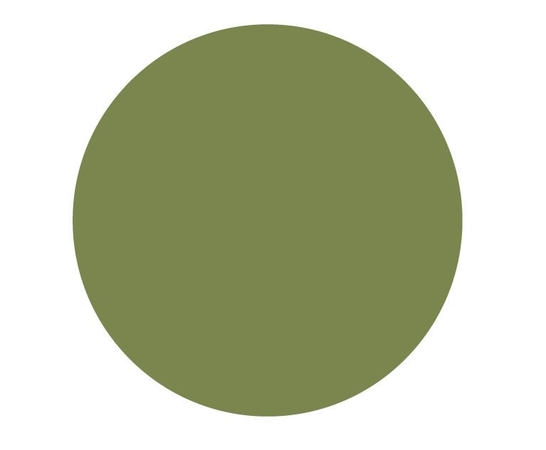 product color