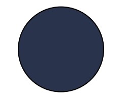 product color