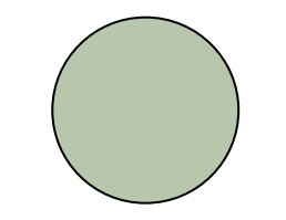 product color