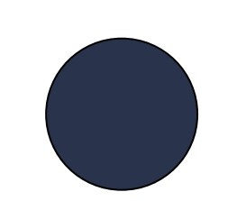 product color